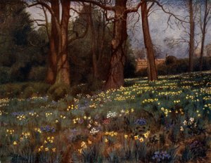 Kew Gardens: Il giardino selvatico in primavera da Thomas Mower Martin