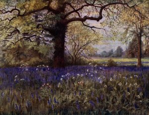 Giardini di Kew: Giacinti selvatici da Thomas Mower Martin