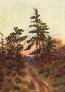 Strada vicino a Victoria, sera (litografia a colori)