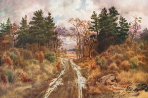 Strada vicino alla baia di Fundy, autunno (litografia a colori)