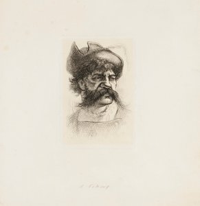 Un vichingo da Thomas Nast