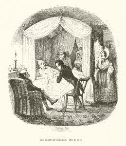 Illustrazione per Valentine Vox
