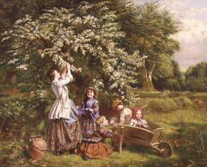 Raccolta di fiori di maggio