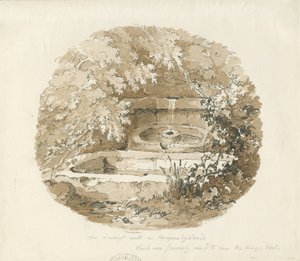 Biddulph - Antico Pozzo nei Boschi di Knypersley