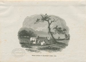 Chartley Hall - Parco
