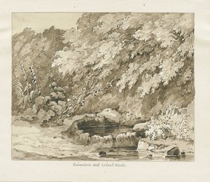 Codsall Wood - Pozzo di zolfo da Thomas Peploe Wood
