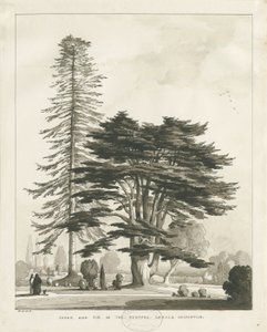 Rettorato di Haughton