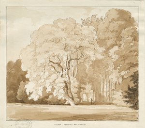 Ingestre - uno studio di alberi da Thomas Peploe Wood