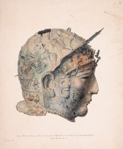 Disegno dell