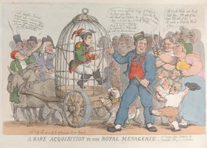 Una rara acquisizione alla Menagerie Reale, 28 luglio 1815 da Thomas Rowlandson