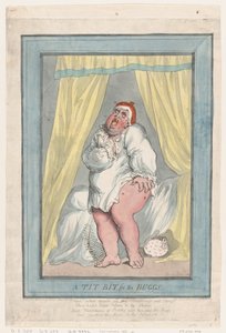 Un Bocconcino per gli Insetti da Thomas Rowlandson