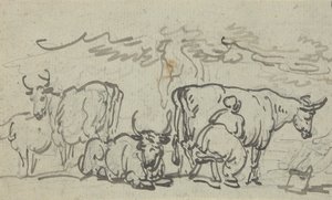 Disegno dell