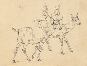 Disegno di Album da Thomas Rowlandson