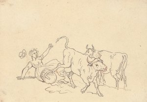 Disegno dell