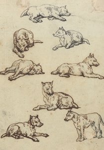 Disegno dell