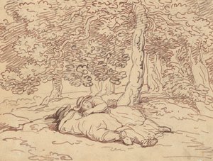 Disegno dell