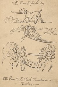Disegno dell