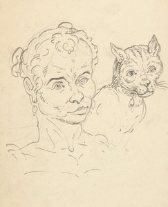 Disegno dell