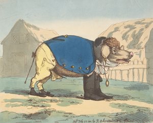 Maiale in gelatina, 25 luglio 1800