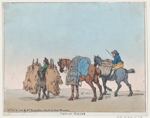 Cavalli della Cornovaglia, 29 dicembre 1788 da Thomas Rowlandson