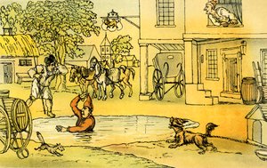 Il dottor Syntax divertito da Pat nello stagno da Thomas Rowlandson