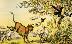 Il dottor Syntax inseguito da un toro da Thomas Rowlandson