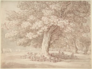 Un branco di cervi sotto una quercia da Thomas Rowlandson