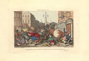 Uomo inchiodato a una porta dalle corna di un bue infuriato da Thomas Rowlandson