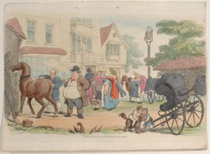 Tavola 27, da World in Miniature, 1816
