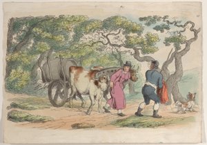 Tavola 40, da World in Miniature, 1816 da Thomas Rowlandson
