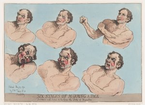 Sei fasi di deturpazione di un volto, 29 maggio 1792