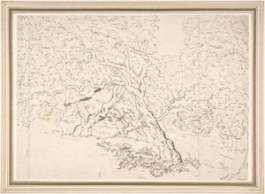 Studio degli alberi da Thomas Rowlandson