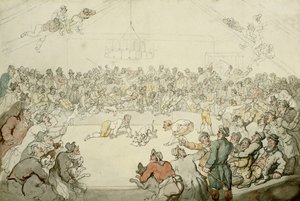 Il Westminster Pitt, 1798 da Thomas Rowlandson