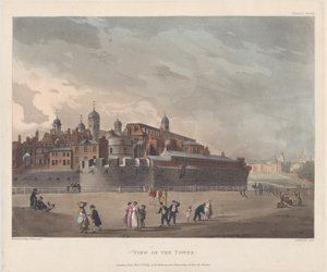 Vista della Torre