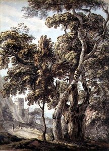 Studio di alberi da Thomas Sandby