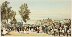 Hyde Park vicino a Crosvenor Gate, tavola sedici da Vedute originali di Londra com