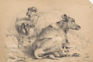 Una mucca e due arieti da Thomas Sidney Cooper