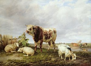Bovini nel prato da Thomas Sidney Cooper
