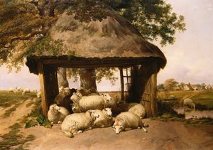 Pecore che riposano sotto un riparo da Thomas Sidney Cooper