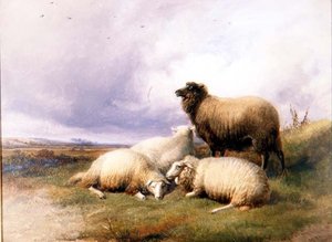Pecore in un paesaggio