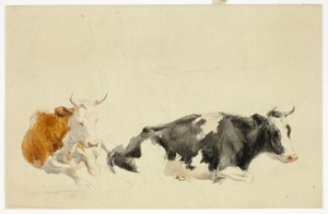 Due mucche supine (recto); schizzo di mucca in piedi (verso) da Thomas Sidney Cooper