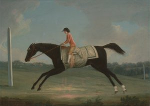 Borlase Cokayne da ragazzo che cavalca Sultana da Thomas Smith of Derby
