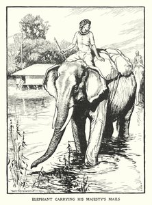 Elefante che trasporta la posta di Sua Maestà da Thomas Somerfield