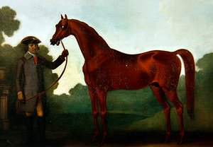 Il cavallo arabo di Mr Charles Wilson con un groom