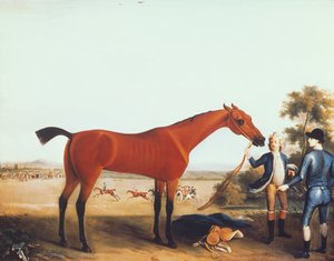 Il cavallo da corsa del Duca di Devonshire 
