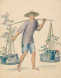 Venditore di fiori cinese