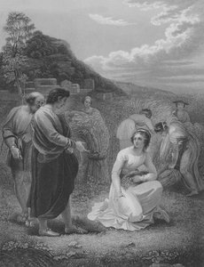 Ruth che spigola, Ruth 2, Versetto 1-15