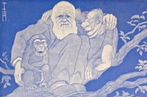 Cartone animato di Darwin con scimmia (dettaglio) da Thomas Theodor Heine