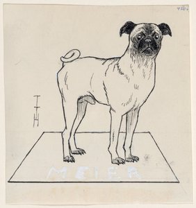 Carlino Meier