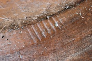 (dettaglio) del retro di un piatto slipware di Adamo ed Eva, North Staffordshire